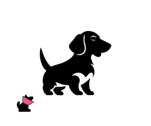 Alpejski gończy krótkonożny opis rasy i choroby