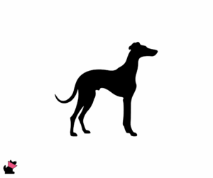 Chart polski jaki jest i na co choruje